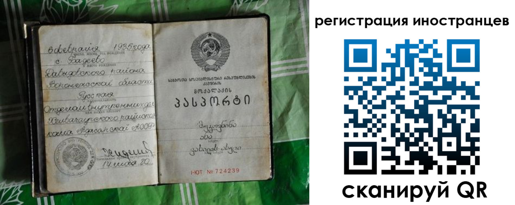 где прописаться в Черняховске